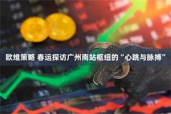 欧维策略 春运探访广州南站枢纽的“心跳与脉搏”