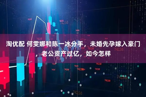 淘优配 何雯娜和陈一冰分手，未婚先孕嫁入豪门，老公资产过亿，如今怎样