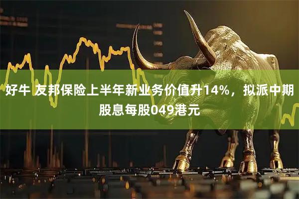 好牛 友邦保险上半年新业务价值升14%，拟派中期股息每股049港元